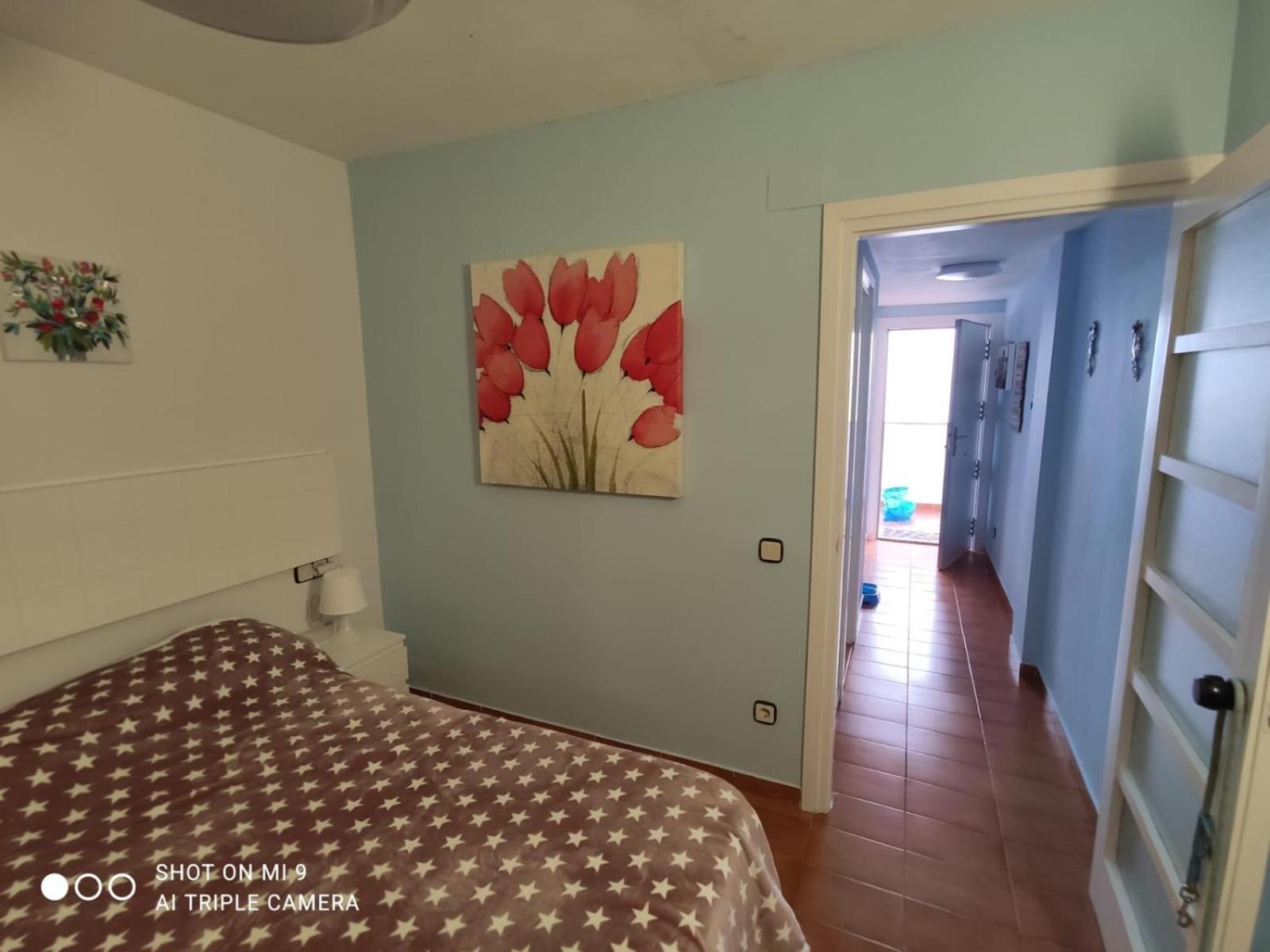 Apartamento Tossa Tossa de Mar Eksteriør billede